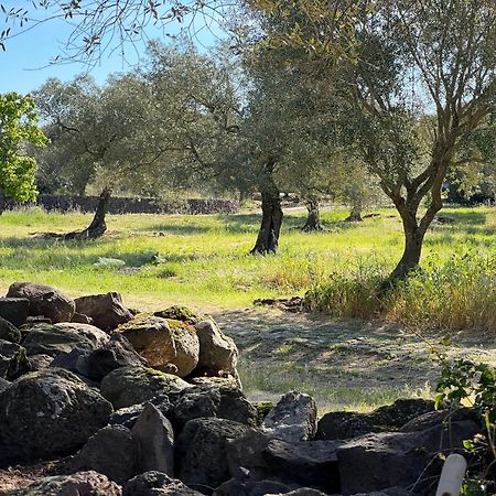 Muristene Pozzo Santa Cristina Paulilatino Zewnętrze zdjęcie