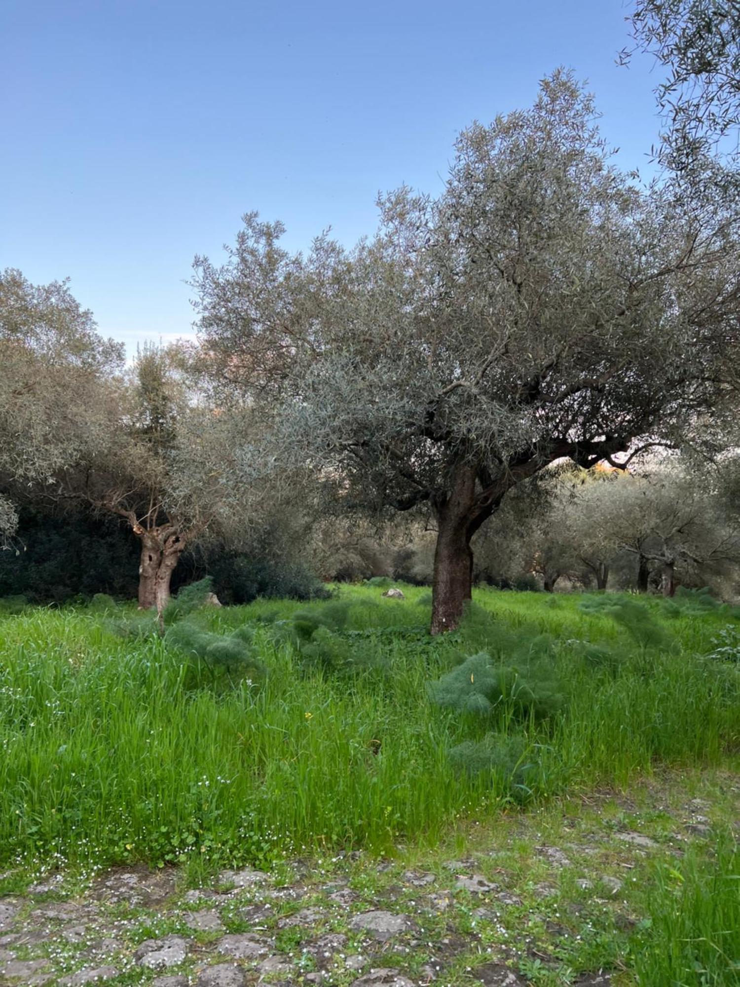 Muristene Pozzo Santa Cristina Paulilatino Zewnętrze zdjęcie