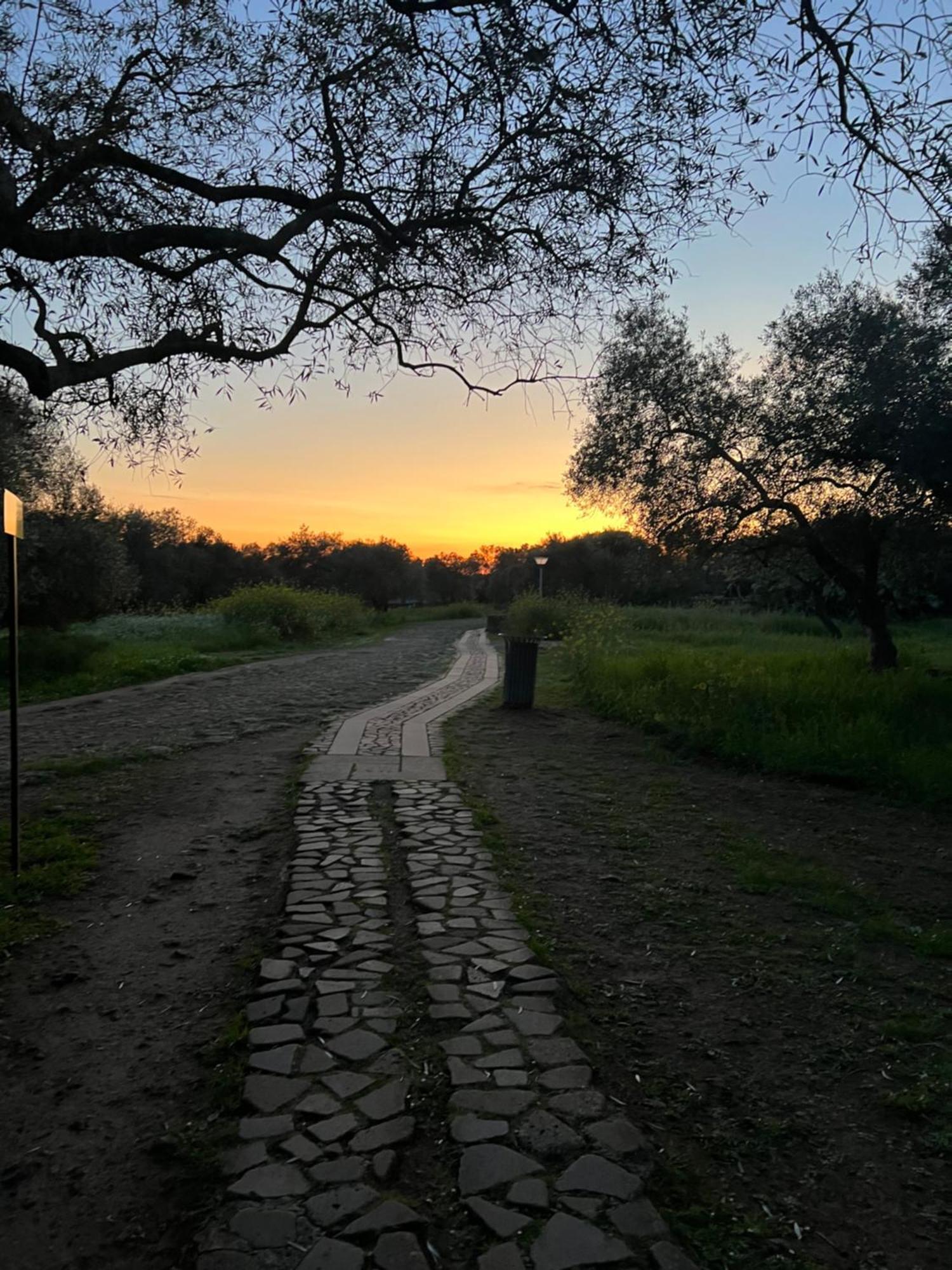 Muristene Pozzo Santa Cristina Paulilatino Zewnętrze zdjęcie