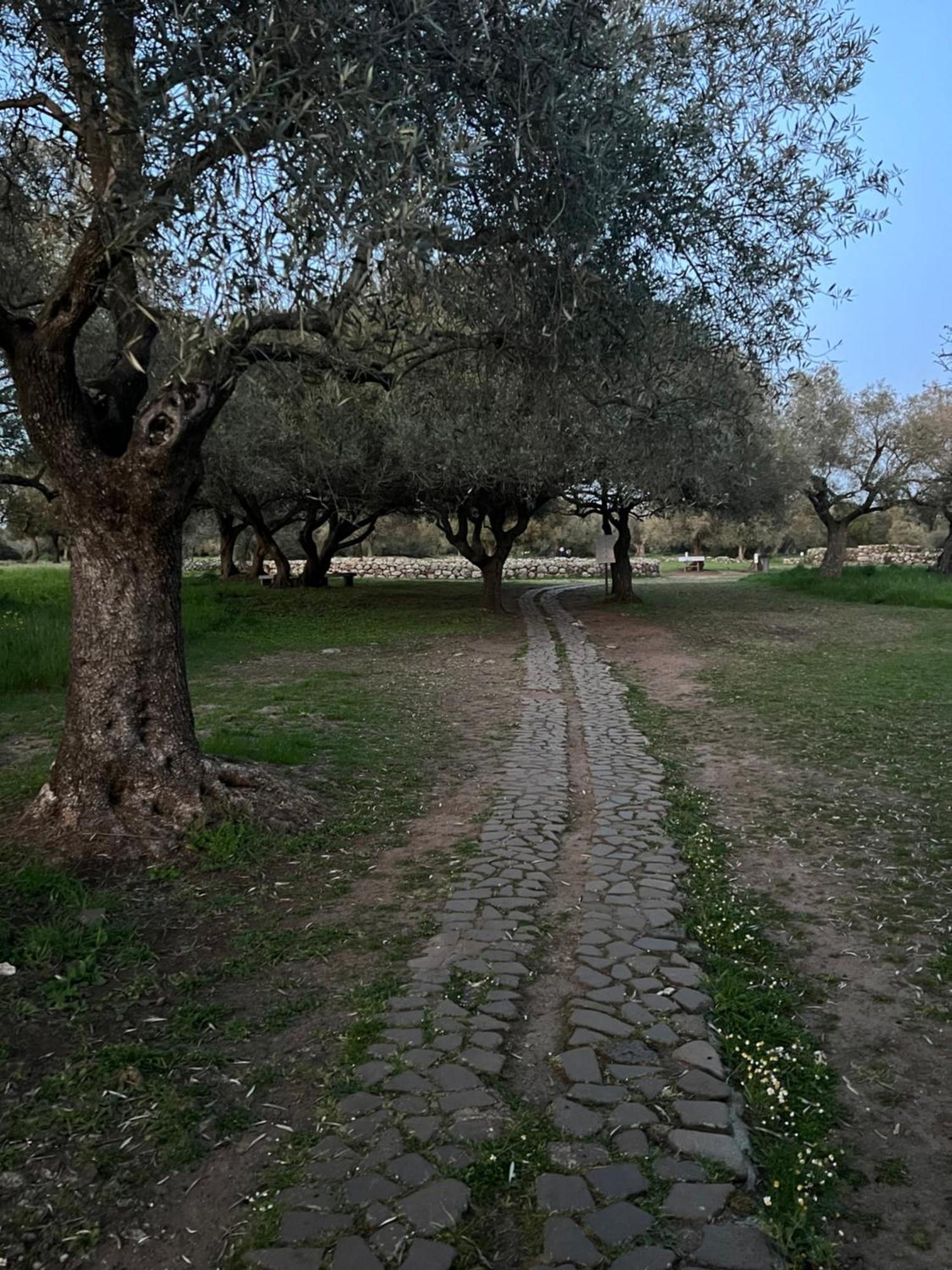 Muristene Pozzo Santa Cristina Paulilatino Zewnętrze zdjęcie