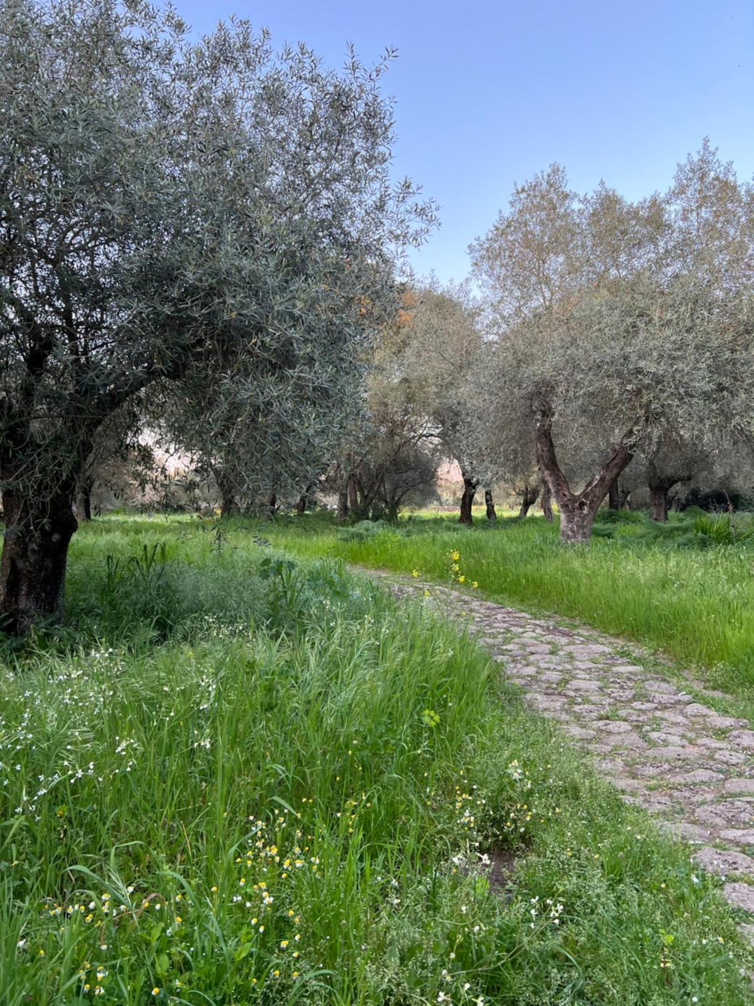Muristene Pozzo Santa Cristina Paulilatino Zewnętrze zdjęcie