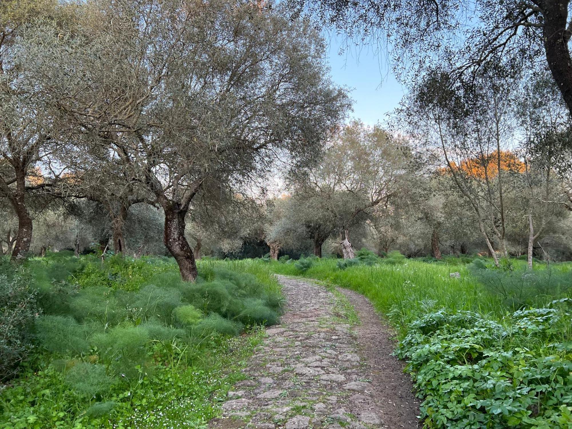 Muristene Pozzo Santa Cristina Paulilatino Zewnętrze zdjęcie
